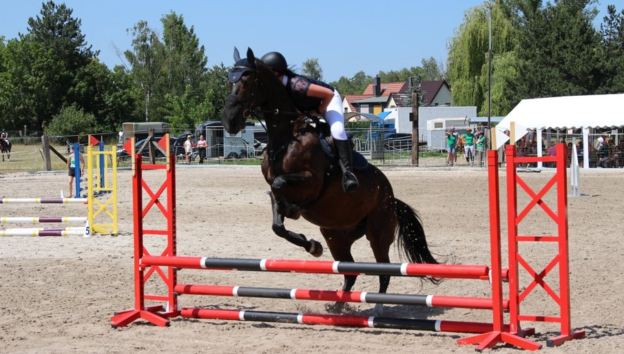 Reitsport_Neukieritzsch_1 (RSV Neuseenland e. V.)